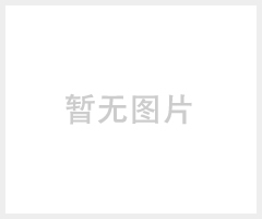 ZJ1湿温度计